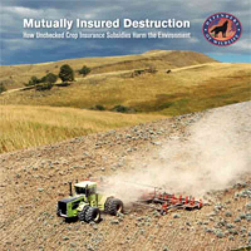 Mutually Insured Destruction: How Unchecked Crop Insurance Subsidies Harm the Environment
