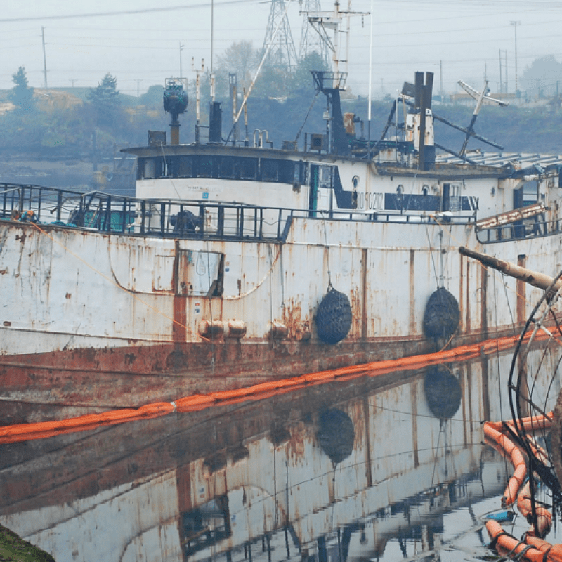 orca vessels report photo