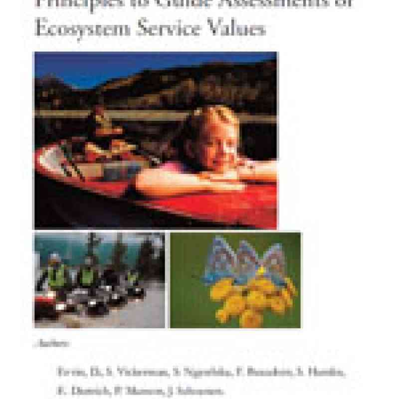 Principles to Guide Assessments of Ecosystem Service Values
