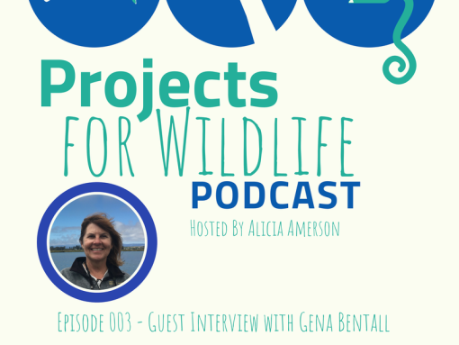 Projects for Wildlife Podcast with Gena Bentall
