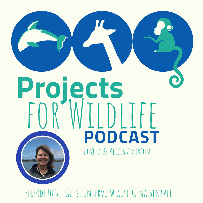 Projects for Wildlife Podcast with Gena Bentall