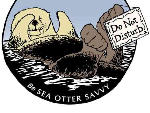 Sea Otter Savvy Logo