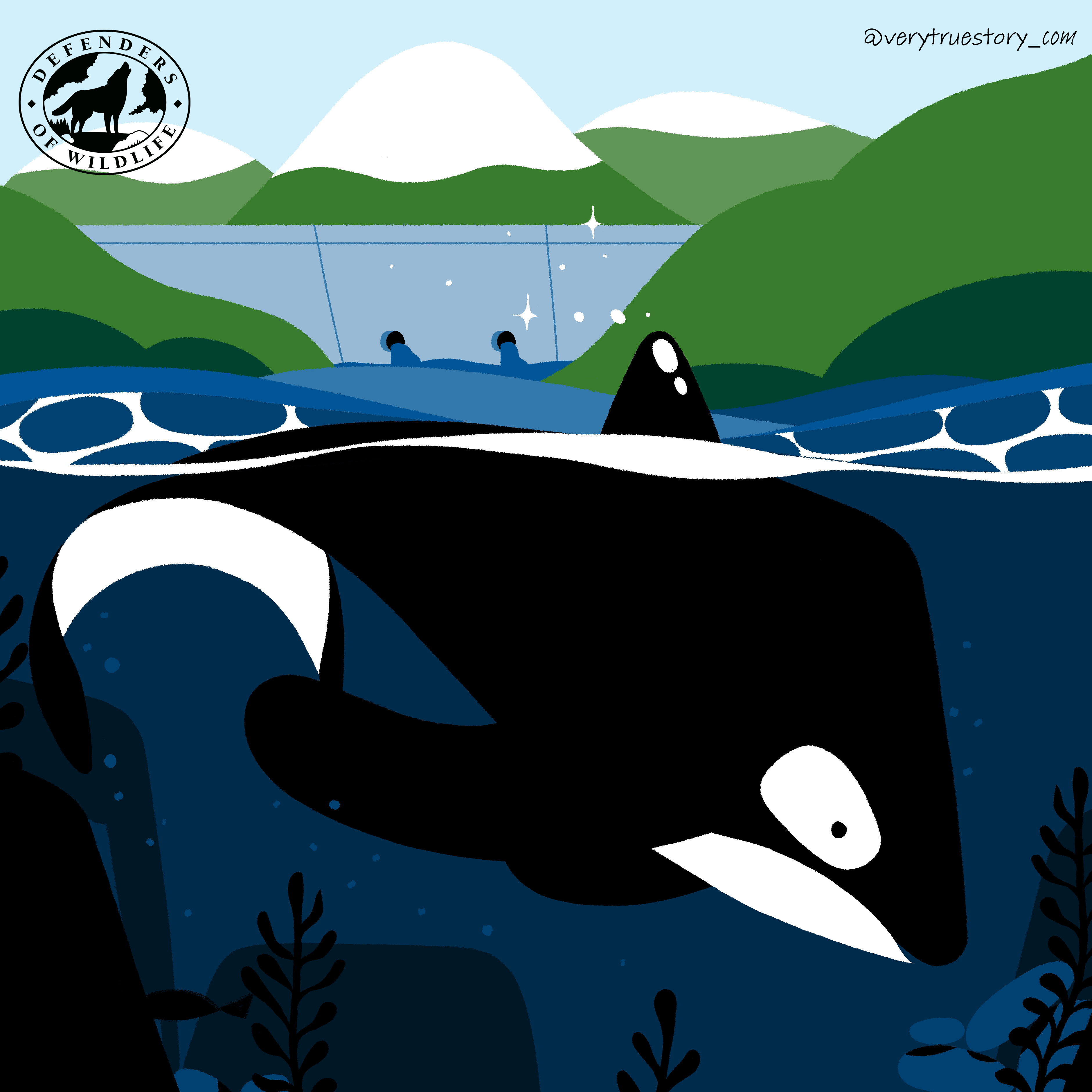 vote for wildlife orca