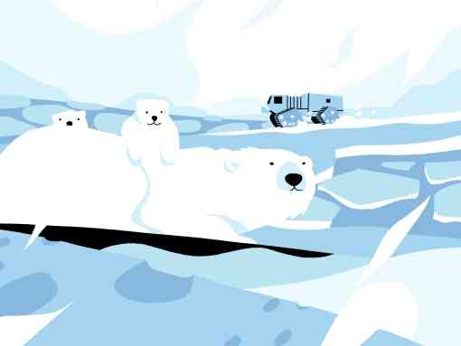 Polar bear illustration on ice