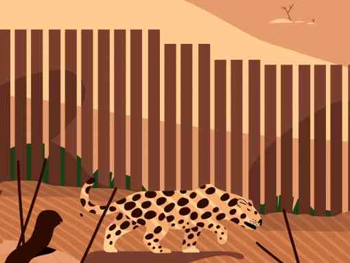 Jaguar with border wall illustration