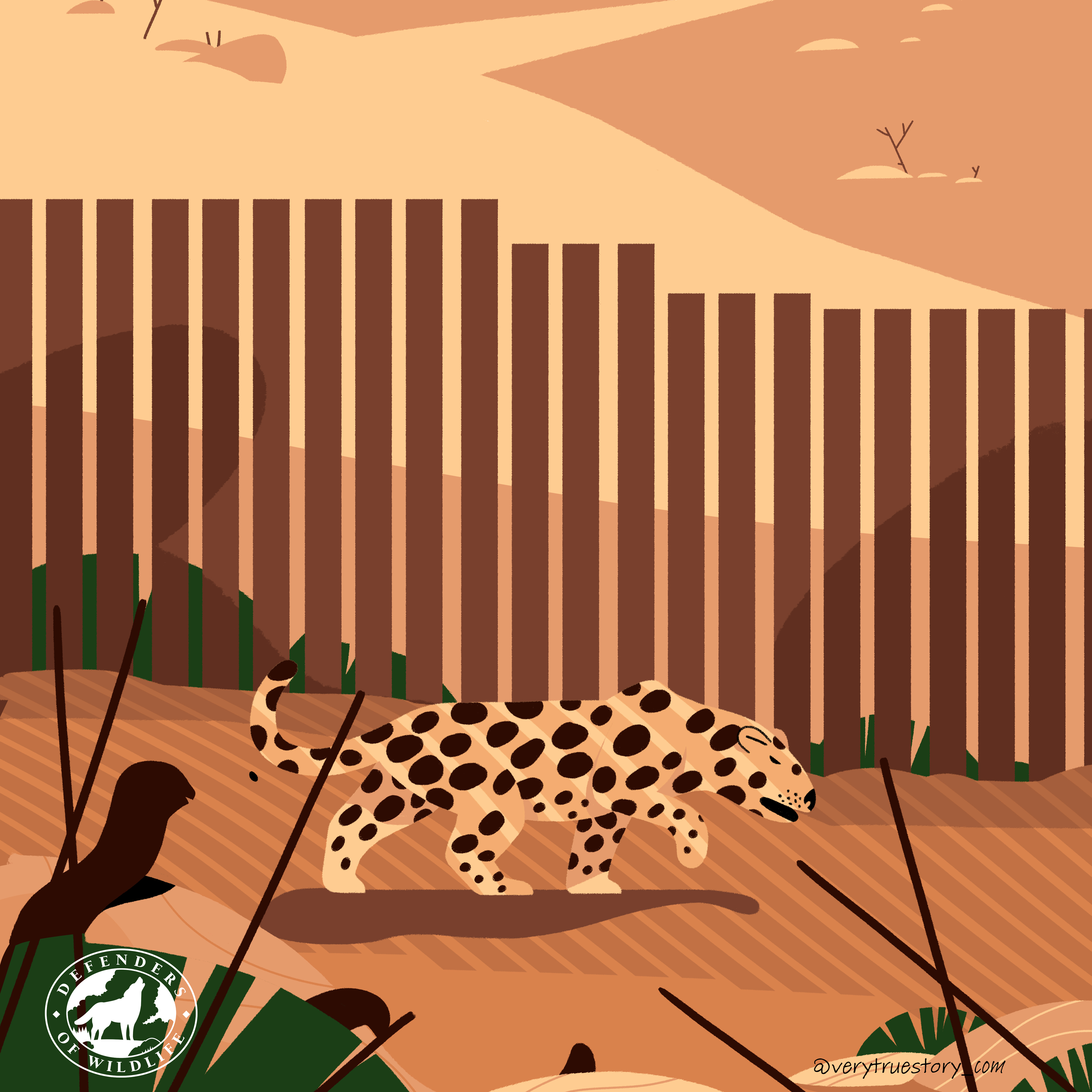 Jaguar with border wall illustration