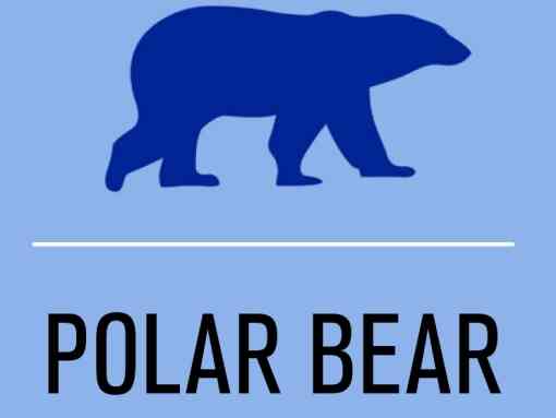Activist Level Polar Bear Silhouette