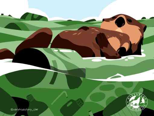 Vote for wildlife sea otter illustration