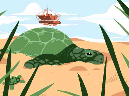 Vote for wildlife sea turtle illustration