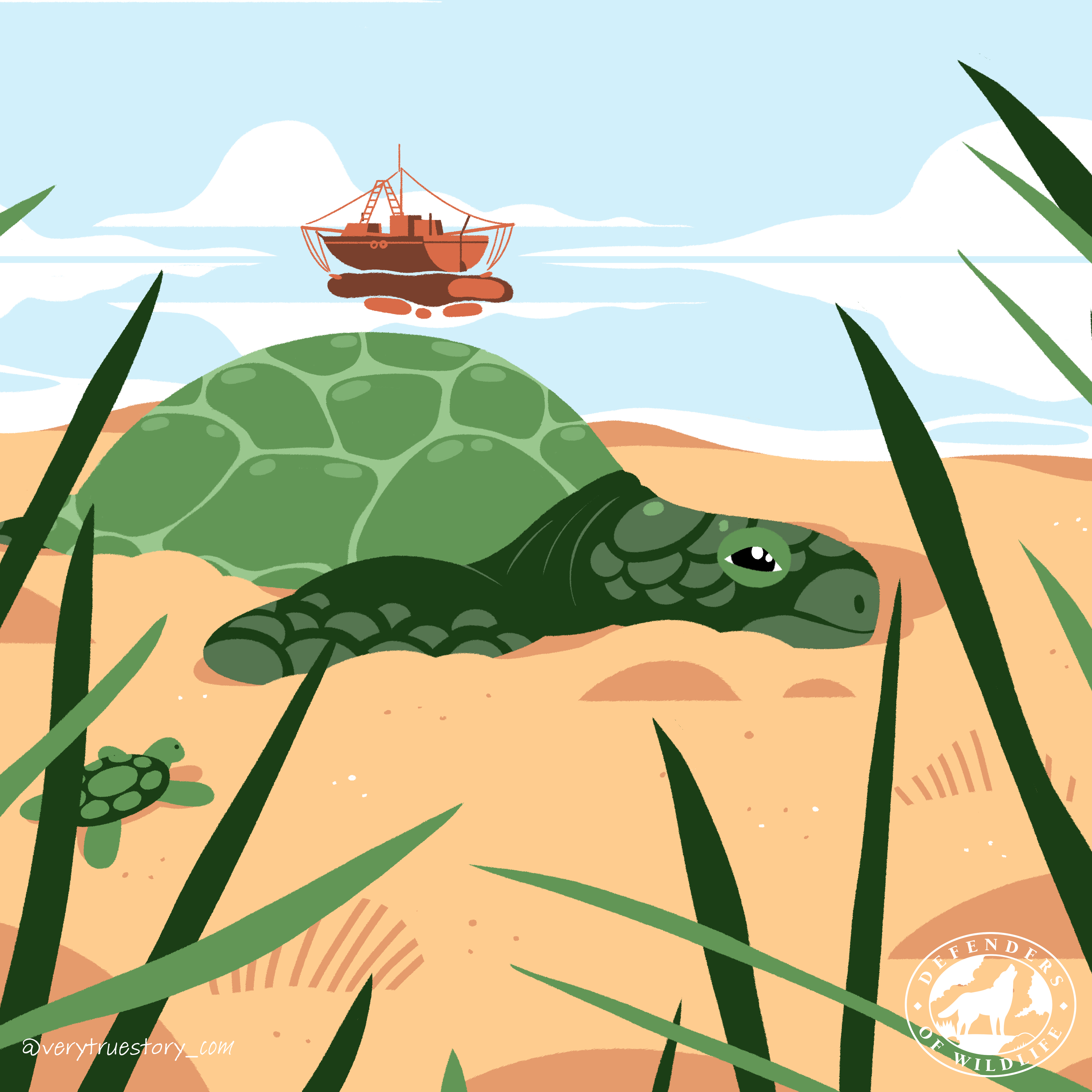 Vote for wildlife sea turtle illustration