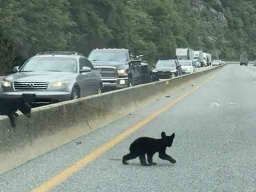 A driver snapped this photo through the windshield at a long and deadly stretch of I-40 outside Great Smoky Mountains National Park.