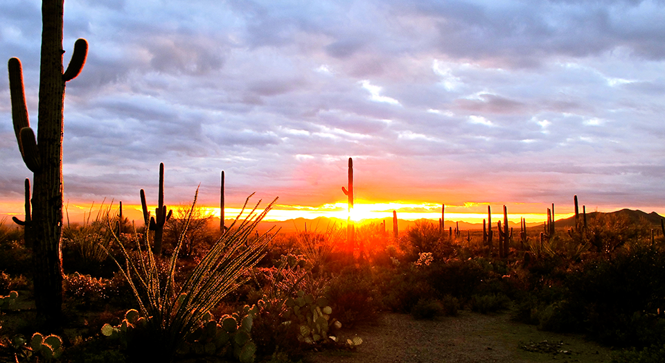 southwest_arizona_tuscon-mountains_julie-chen